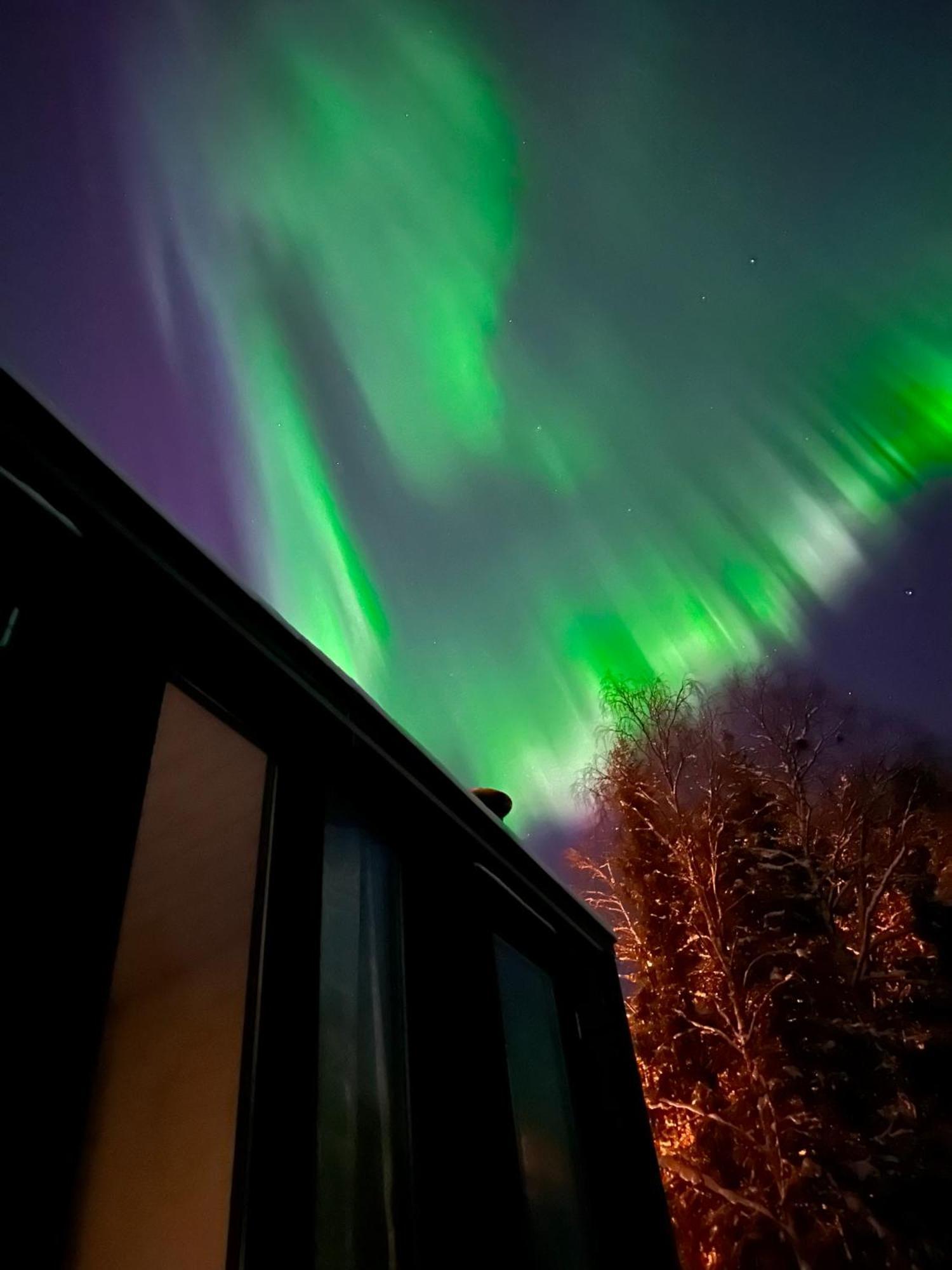 Aurora Forest Lodge روفانييمي المظهر الخارجي الصورة
